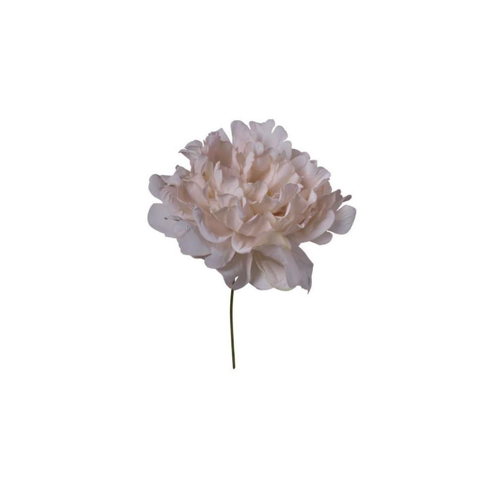 PICK PEONIA BEIGE 13X13X16